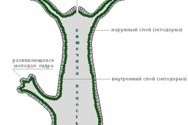 Кракен ссылка настоящая