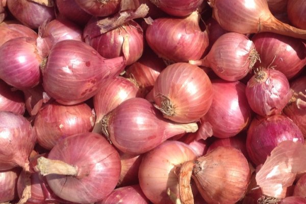 Кракен основная ссылка onion