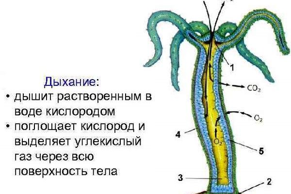 Кракен сбой