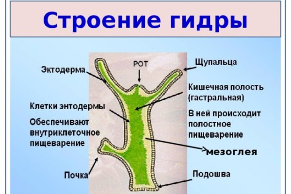 Мега или кракен